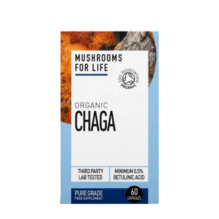 Chaga mushroom supplement capsules