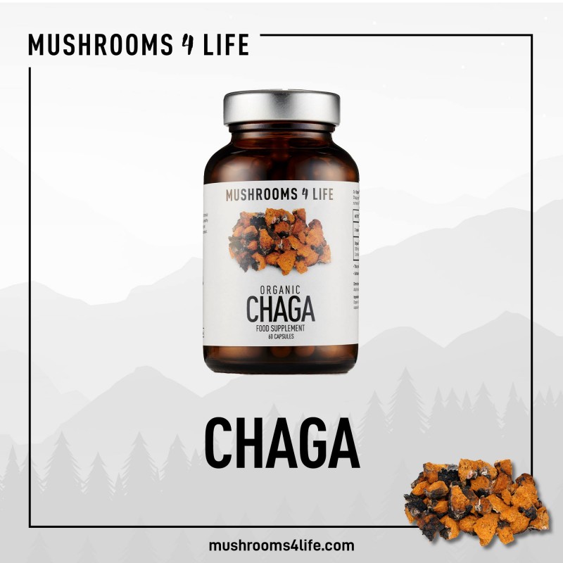 Chaga, mushrooms4life supplement, 60 capsules