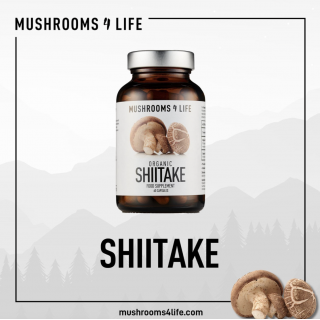 Maisto papildas šitake „Organic Shiitake”, mushrooms4life, 60 kapsulių
