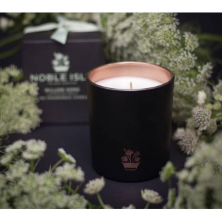 Willow Song Candle