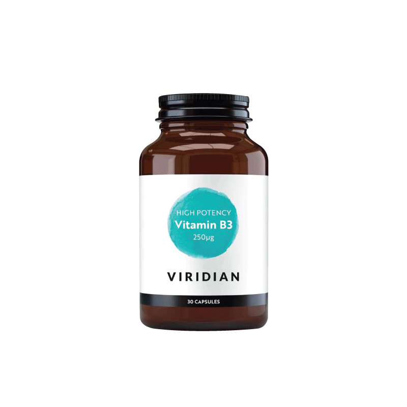 Maisto papildas VITAMINAS B3 „High Potency Vitamin B3 250mg“